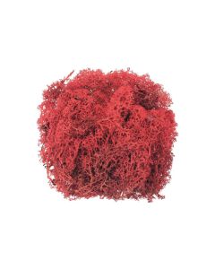 Glorex Moos Island Rot