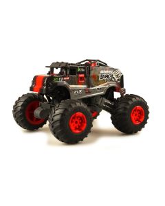 Amewi Monster Truck Crazy SXS13 Rot, 1:16, RTR
