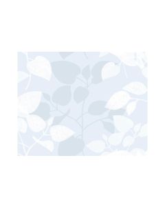d-c-fix Fensterfolie Amena 45 x 150 cm