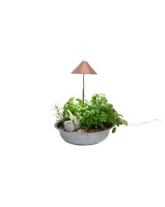 Venso Solutions Pflanzenleuchte SunLite 7 W, Kupfer
