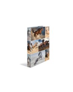 HERMA Pferde 4-Ring 3.5 cm