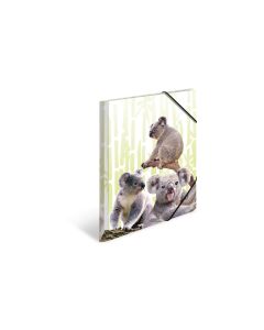 HERMA Gummibandmappe Koala A4, Mehrfarbig