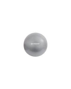 Schildkröt Fitness Gymnastikball 55 cm