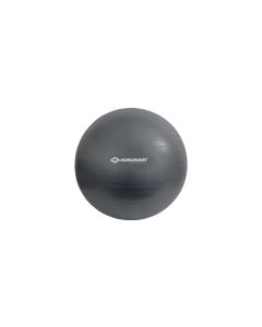 Schildkröt Fitness Gymnastikball 75 cm