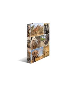 HERMA Ringbuch Afrika 2-Ring 3.5 cm, Mehrfarbig