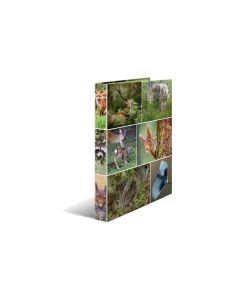 HERMA Ringbuch Waldtiere 2-Ring 3.5 cm