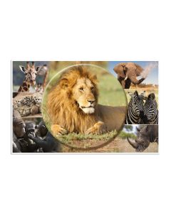 HERMA Schreibunterlage Afrika Tiere 55 x 35 cm