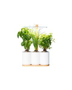 Prêt à Pousser Kräutertopf Indoor Lilo Connect Weiss