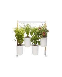 Prêt à Pousser Kräutertopf Indoor Modulo 2 Weiss