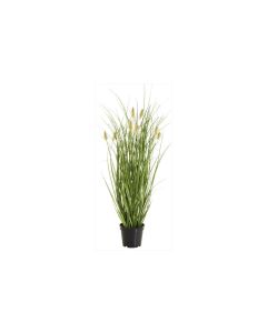 Botanic-Haus Kunstpflanze Fuchsschwanzgras, 46 cm