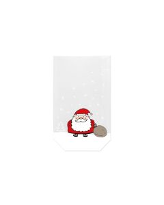 Braun + Company Guetzli-Verpackung Weihnachtsmann 11.5 x 19 cm, 10 Stück