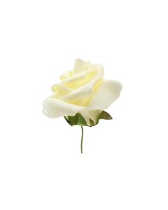 HobbyFun Streudeko Rosen 12 Stück, Creme