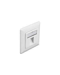 Delock Montageset 1 Port Keystone