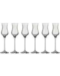 Leonardo Grappaglas Chateau 90 ml, 6 Stück, Transparent 