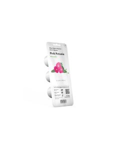 Click and Grow Saatgut Pinke Petunie 3er-Pack