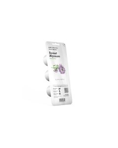 Click and Grow Saatgut Strand-Silberkraut 3er-Pack