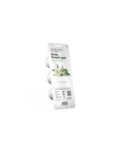 Click and Grow Saatgut Weisses Löwenmäulchen 3er-Pack