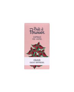 Prêt à Pousser Samen Coleus