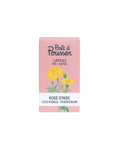 Prêt à Pousser Samen Indische Rose