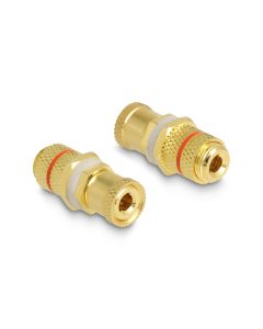Delock Audio-Adapter Optik 2 Polklemme Spezial - Spezial