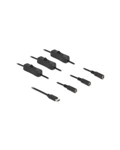 Delock Hohlstecker Kabel USB Type-C zu 3 x DC mit Schalter 1 m