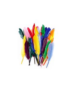 Creativ Company Federn 17 - 20 cm 250 Stück