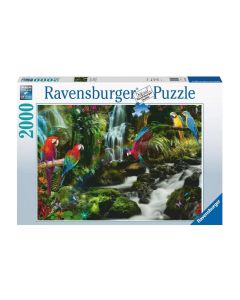 Ravensburger Puzzle Bunte Papageien im Dschungel