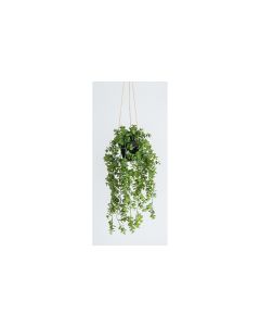 Botanic-Haus Kunstpflanze Eukalyptus hängend 58 cm