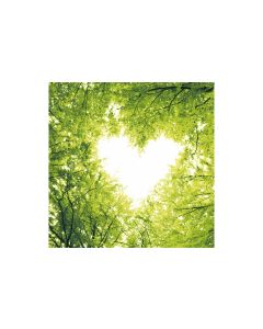 Paper + Design Papierservietten Nature Love 33 cm x 33 cm, 20 Stück