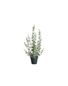 Botanic-Haus Kunstpflanze Eukalyptus 58 cm