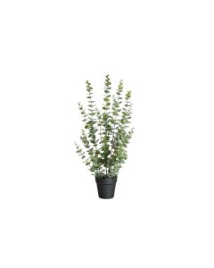 Botanic-Haus Kunstpflanze Eukalyptus 76 cm