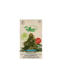 Samen Mauser Saatgut Cannabis Fenomax