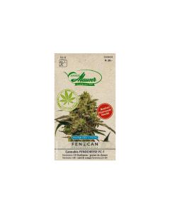 Samen Mauser Saatgut Cannabis Fenocheese