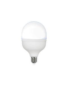 Star Trading Lampe LED High Lumen, 30 W, E27, Tageslichtweiss (Kaltweiss)