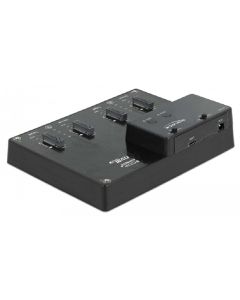 Delock USB-C - 4x M.2 NVMe