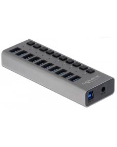 Delock USB-Hub 63670 10x USB-A