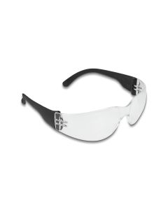 Delock Schutzbrille Sichtscheiben klar, inklusiv Brillentasche Klar