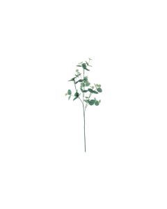 Dekomat AG Kunstpflanze Eukalyptuszweig 76 cm