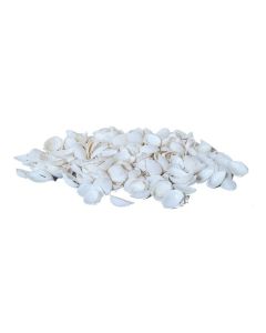 Dekomat AG Muscheln, 300 g Weiss