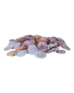 Dekomat AG Muscheln, 300 g Pink/Weiss
