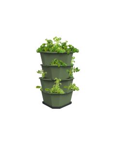 Gusta Garden Aufzuchttöpfe PAUL POTATO Starter, 4 Etagen, Dunkelgrün