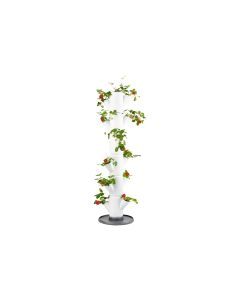 Gusta Garden Aufzuchttöpfe SISSI STRAWBERRY Classic, Weiss