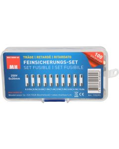 Max Hauri Schmelzsicherung Set 5 x 20 mm Träge, 100 Stück