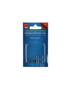Max Hauri Schmelzsicherung 5 x 20 mm Träge 10 A, 5 Stück
