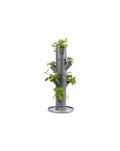 Gusta Garden Aufzuchttöpfe SISSI STRAWBERRY Starterset, Anthrazit