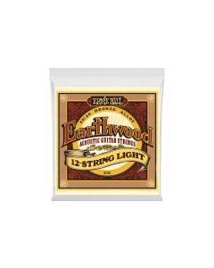 Ernie Ball Gitarrensaiten 2010 Earthwood Bronze – Light 9-46