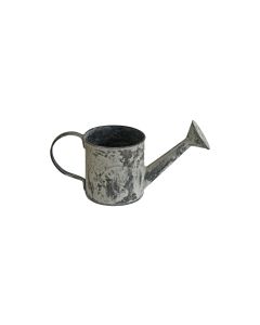 Originals Giesskanne Acanthus Grau