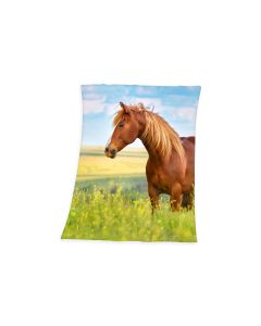 Herding Decke Pferd 130 x 160 cm, Blau/Braun/Grün