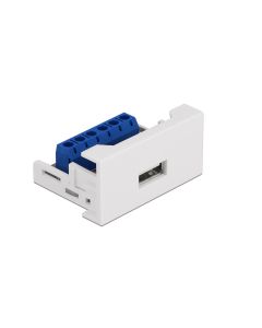 Delock USB 2.0 Adapter Easy 45 Modul Terminalblock - USB-A Buchse