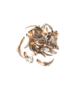 Glorex Federn Fasan 5-12 cm, 10g, Braun